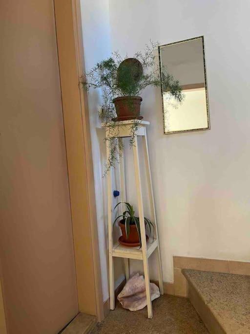 Vintage Pula Apartment ภายนอก รูปภาพ